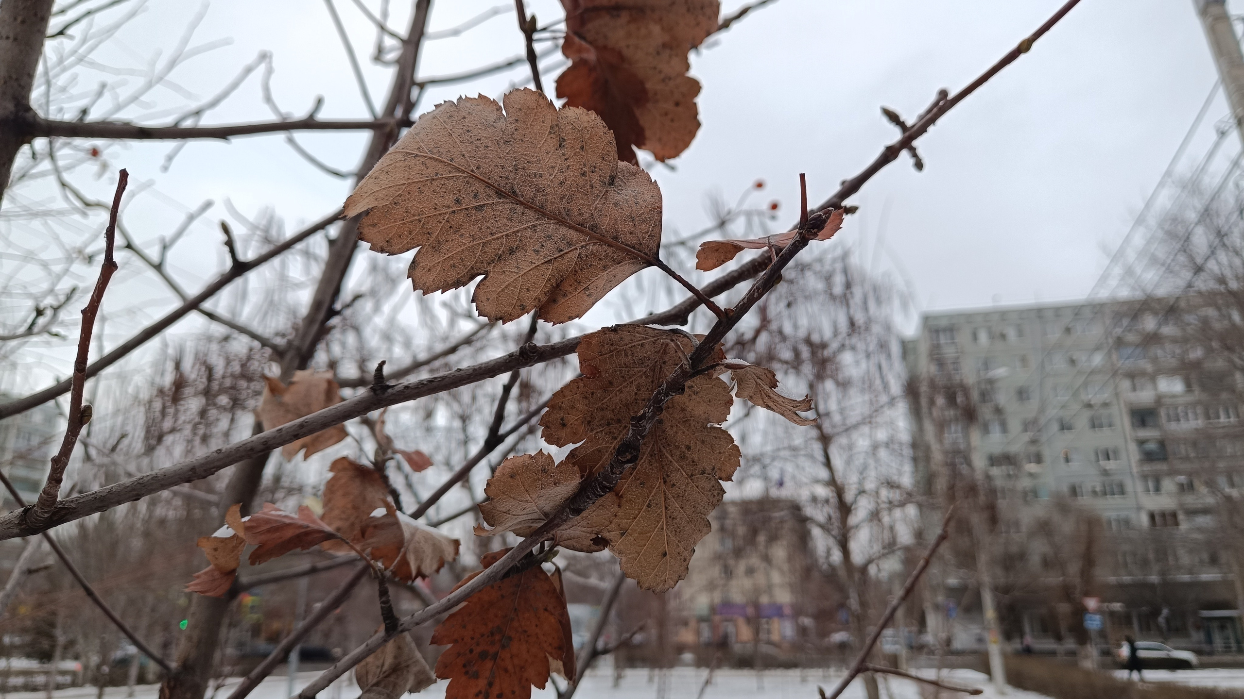 Читальный зал. Марина Рыбкина — Глубинная психология