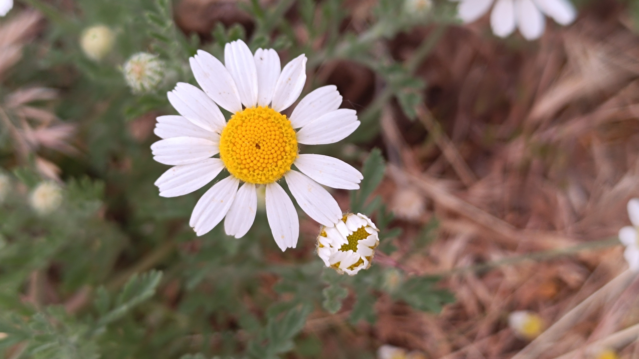 Читальный зал. Марина Рыбкина — Глубинная психология