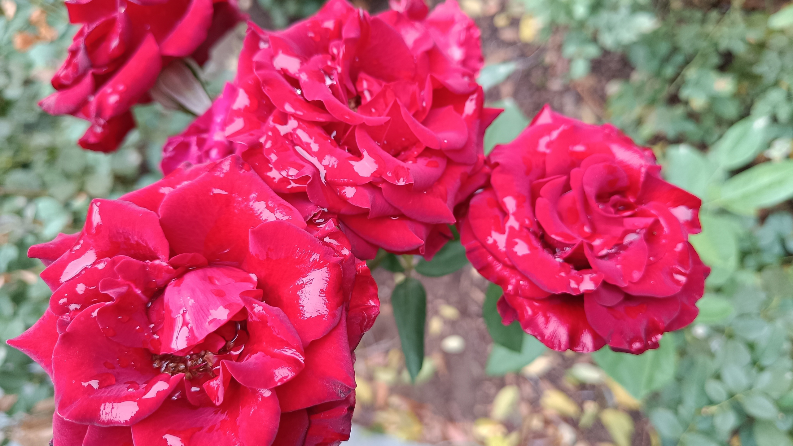 Ольфактотерапия. Марина Рыбкина — Глубинная психология