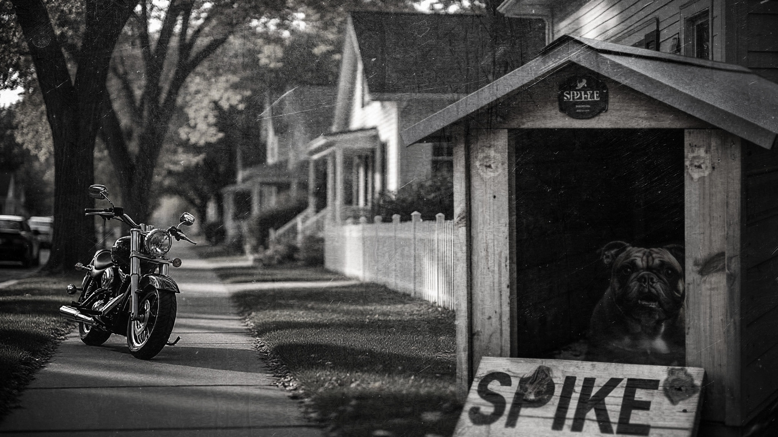 Знакомство с Веласкез. 13 SLUDGE street