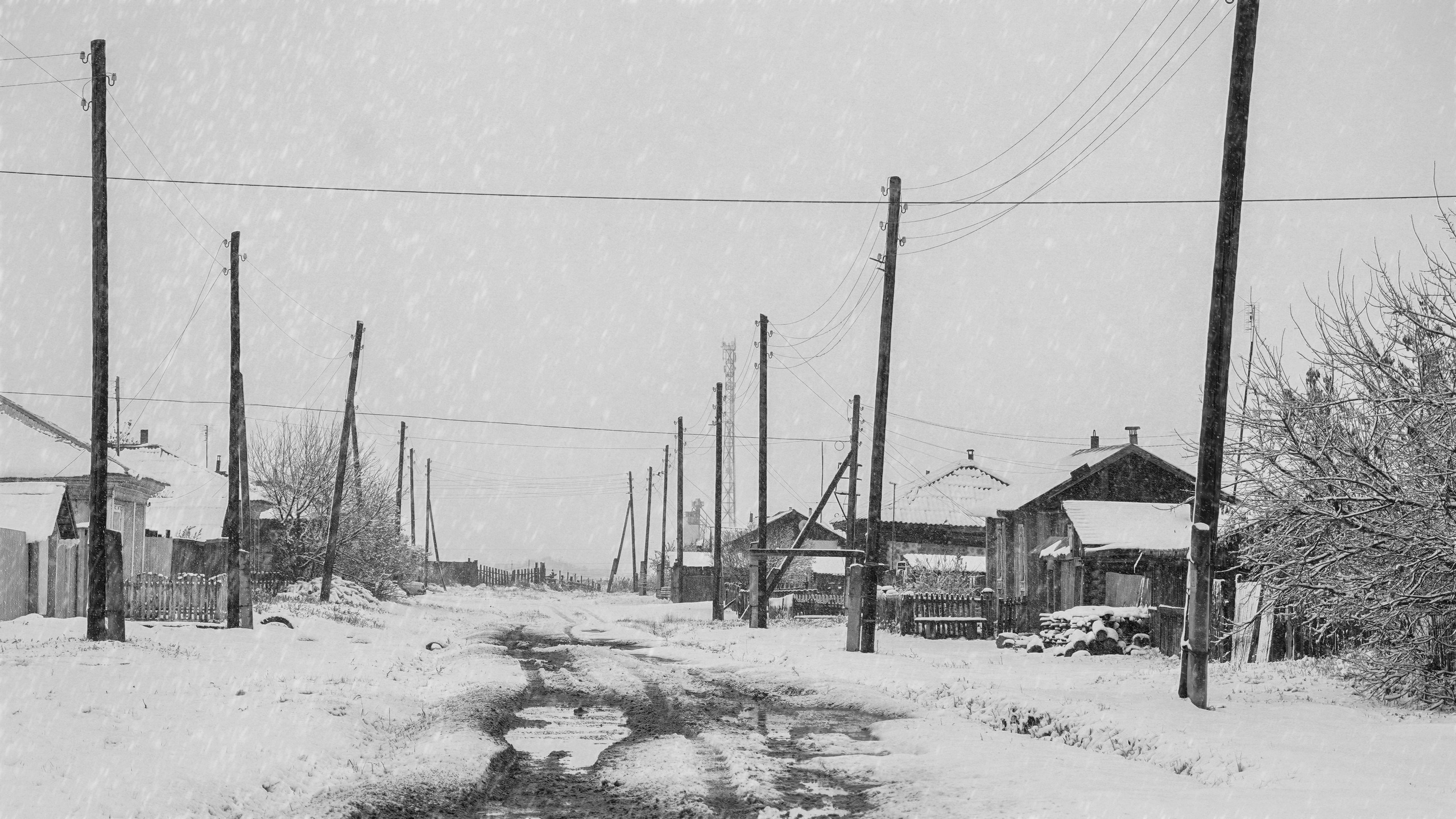 Село Камышевка