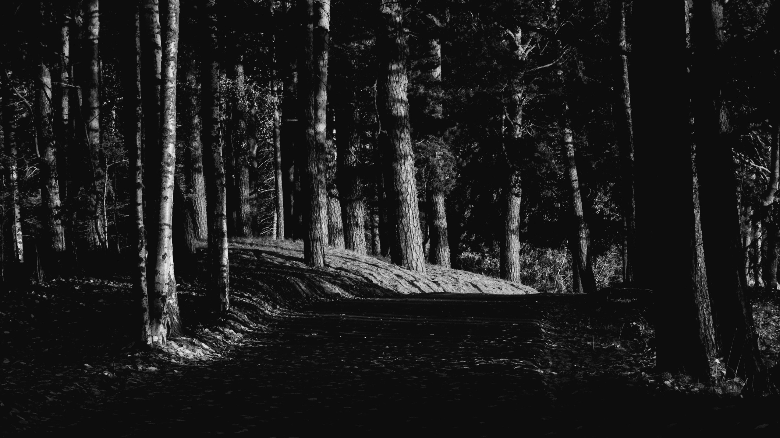 JUST PASSING BY. AI — artist | Documentary Photographer St. Petersburg, Milan