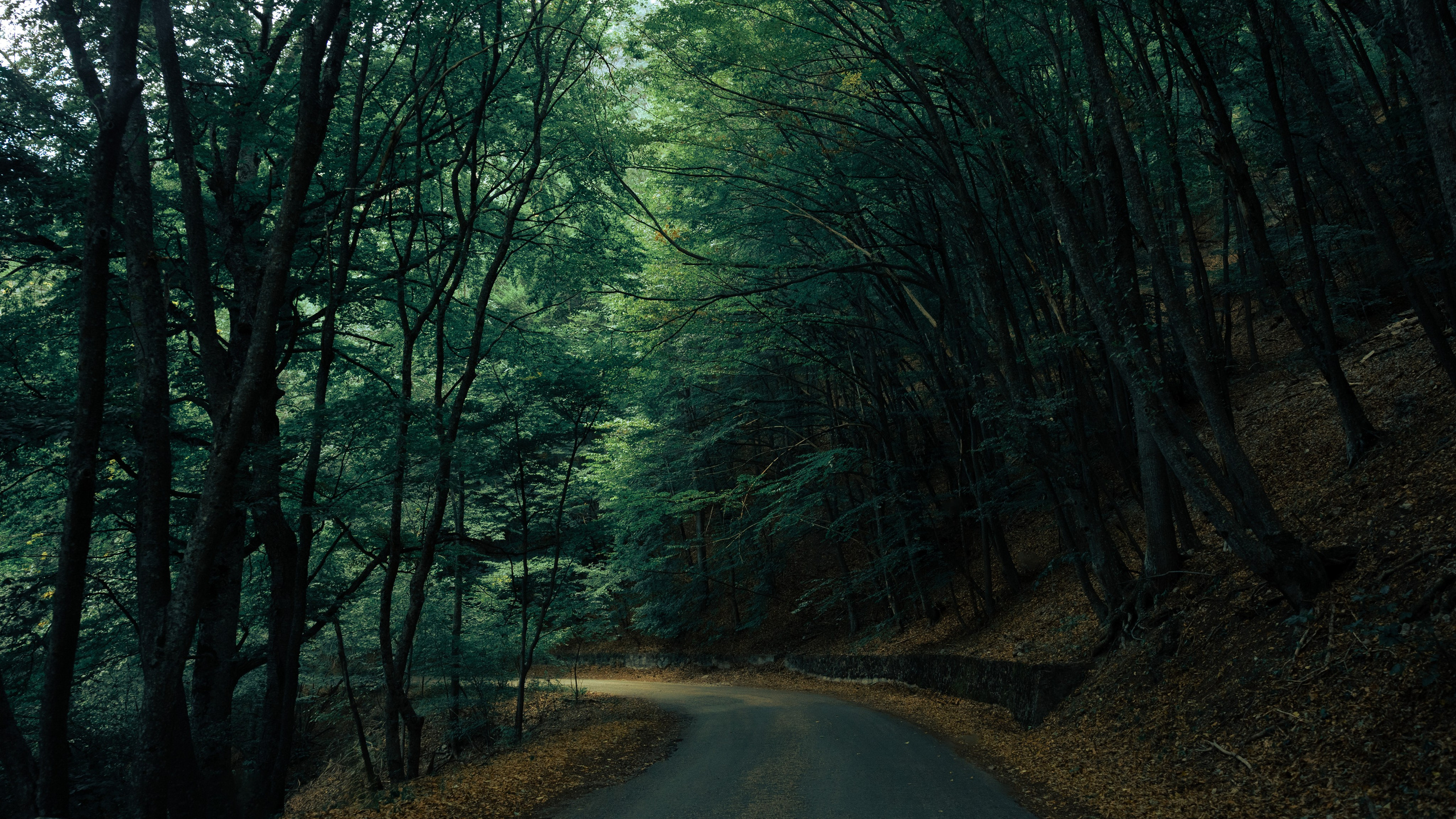 Рассвет на Ай-Петри. Фотограф из Москвы — DASHA NOVA | Авторская фотография в разных жанрах