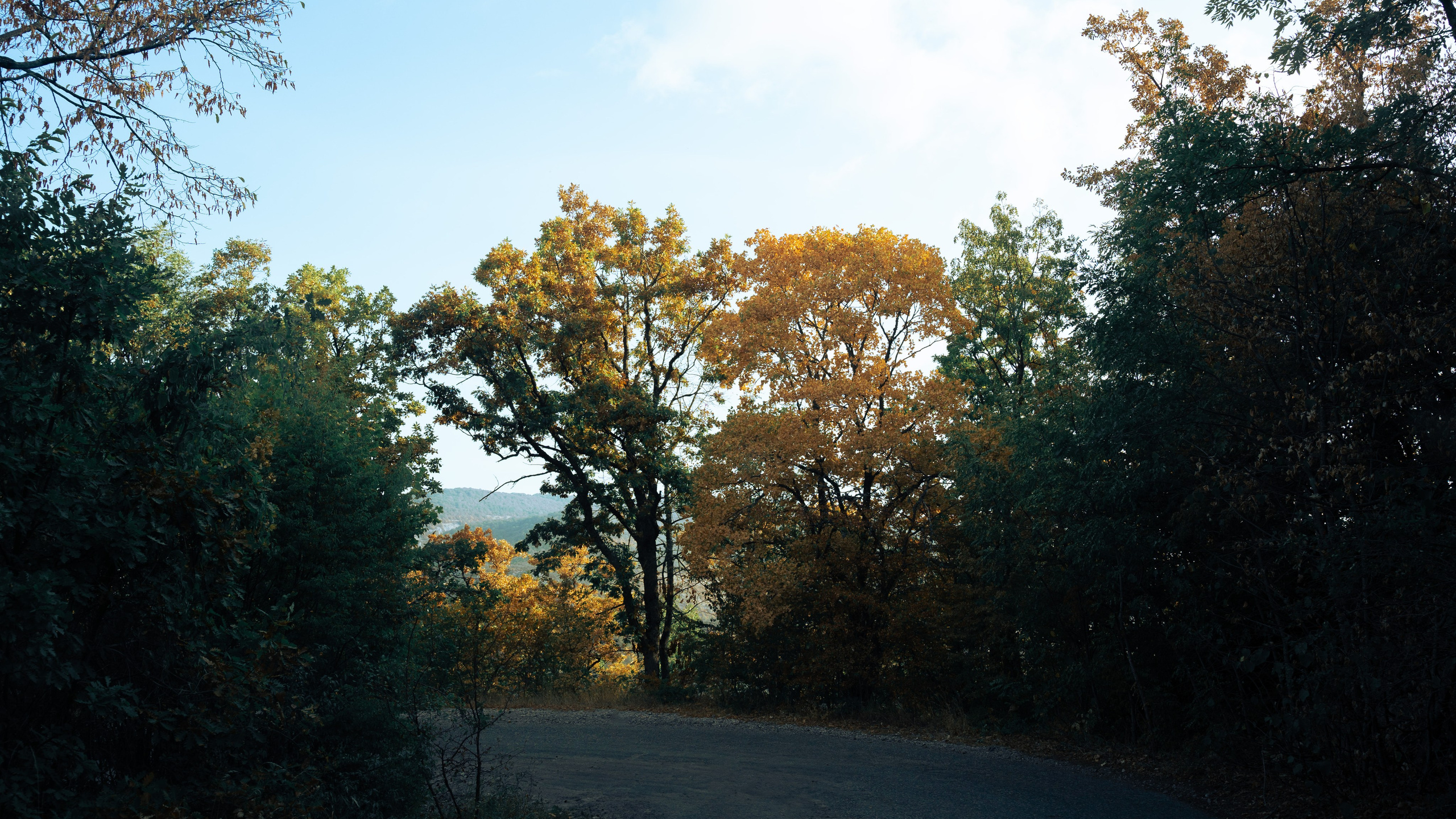 Рассвет на Ай-Петри. Фотограф из Москвы — DASHA NOVA | Авторская фотография в разных жанрах