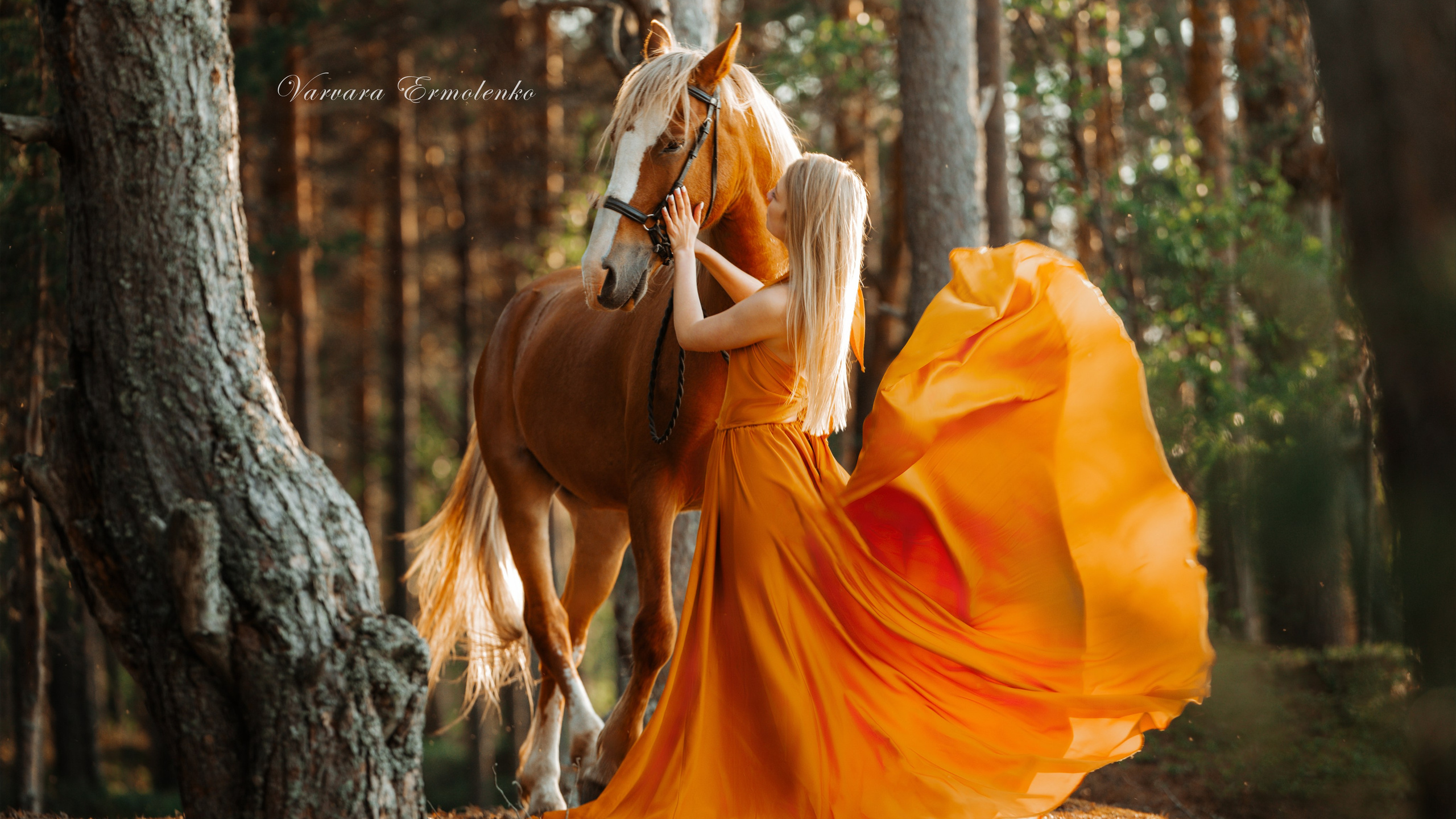 Фотосессии с лошадьми в Петрозаводске. Фотограф Варвара Ермоленко