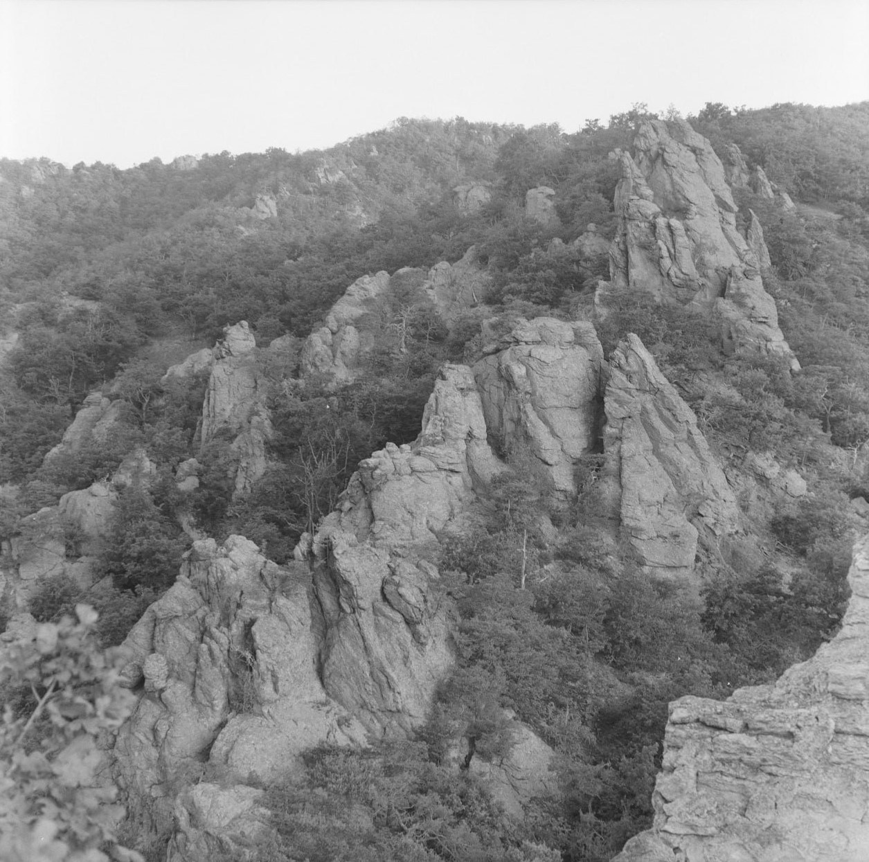 Film meditations. Ekaterina Shikhanova