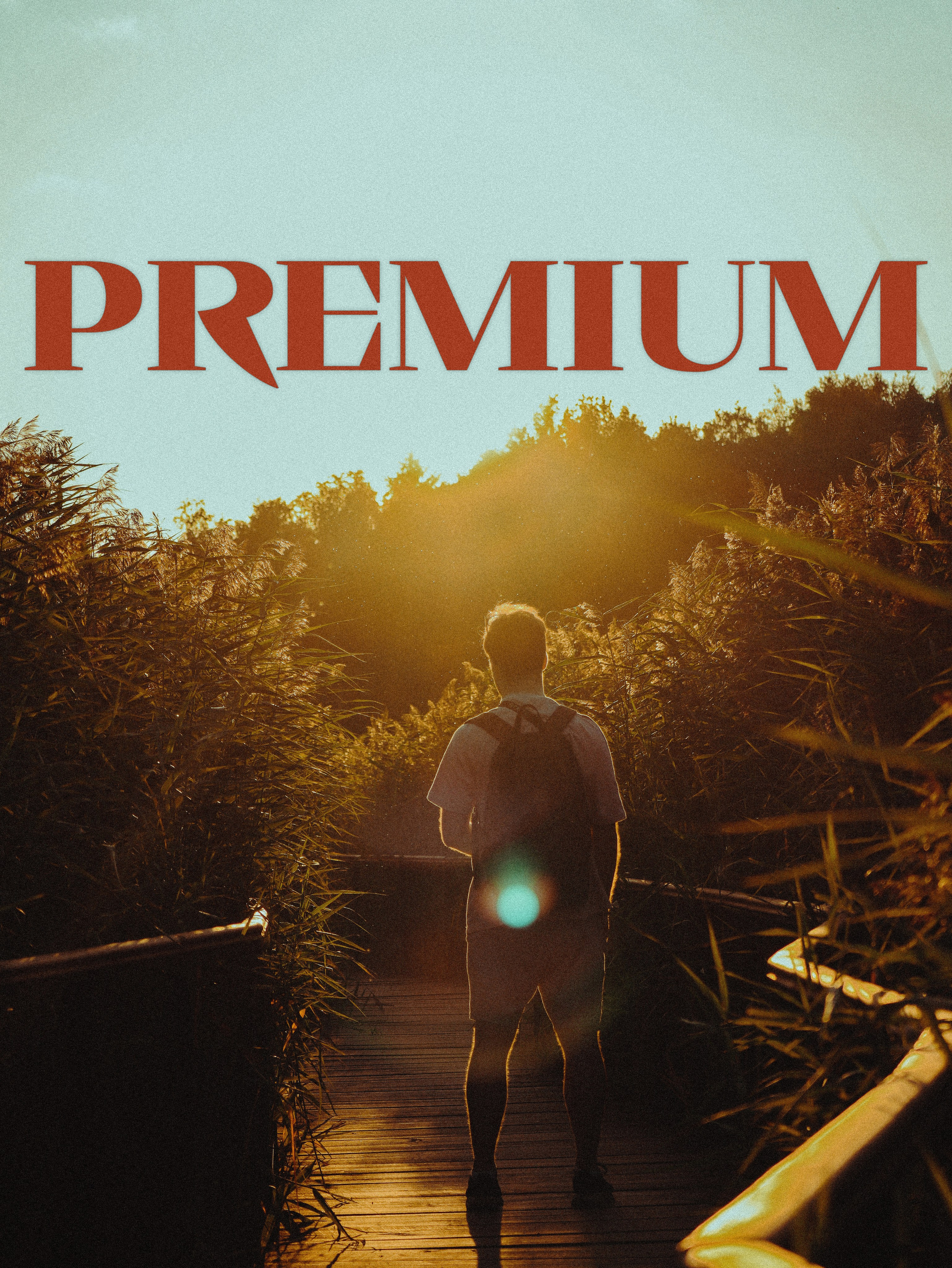 ПРЕМИАЛЬНЫЙ ТАРИФ. Cinematic presets video/photo, visual, content creator Lina Pleshakova