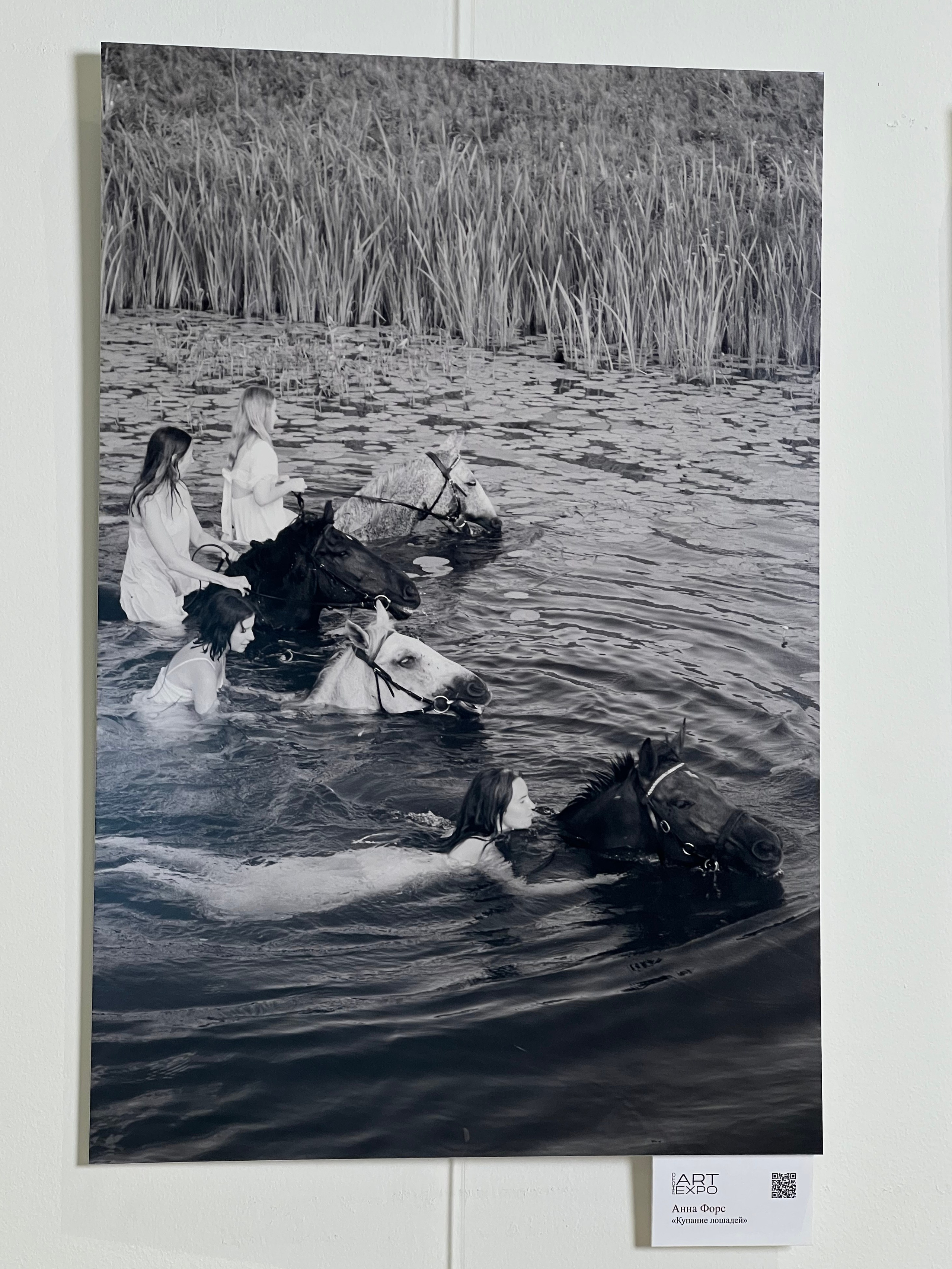 Artwork by Anna Fors showcased during art exhibitions at GUM, Red Square, Moscow.