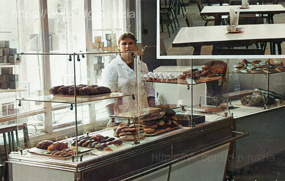 Магазины, киоски, кафе, дом быта, аптека и гостиница. История Назиевского городского поселения