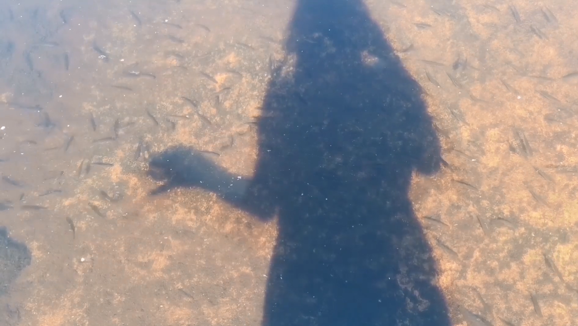 Hiljaisuuden maa/The Land of Silence, 2023. Kaati Puolakainen