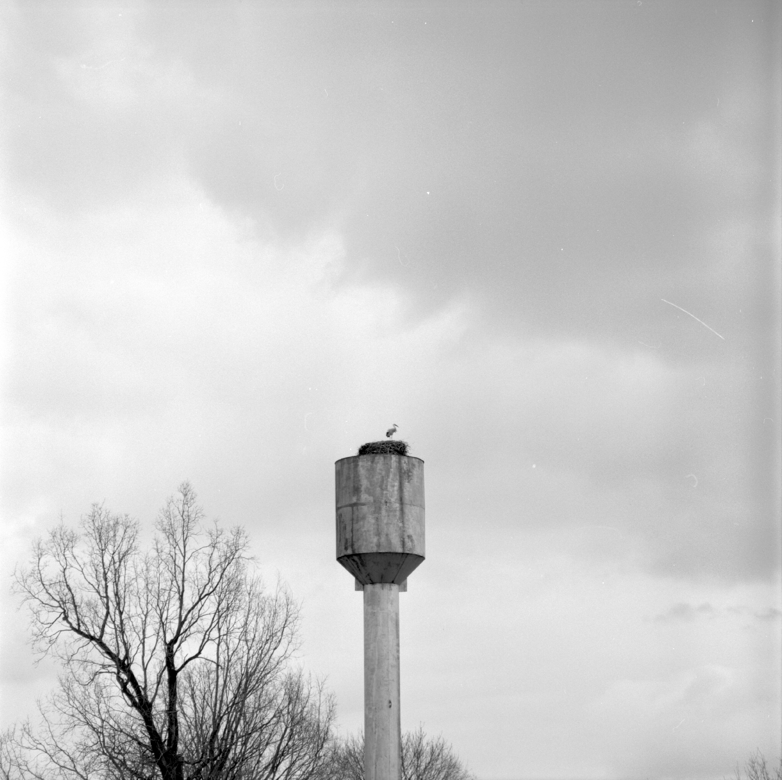 фотография автор Юлия Горбунова, проект День без числа