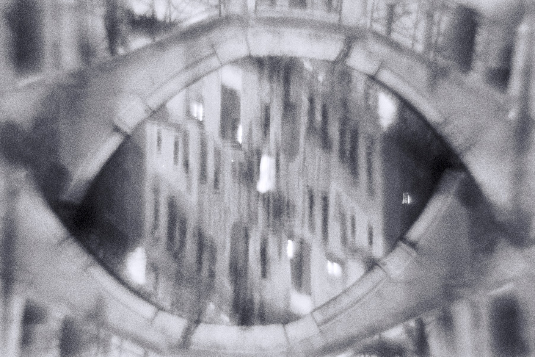 Григорьева Ирина. Организация фотовыставок в Петербурге и Москве, MFamilia (МФамилия)