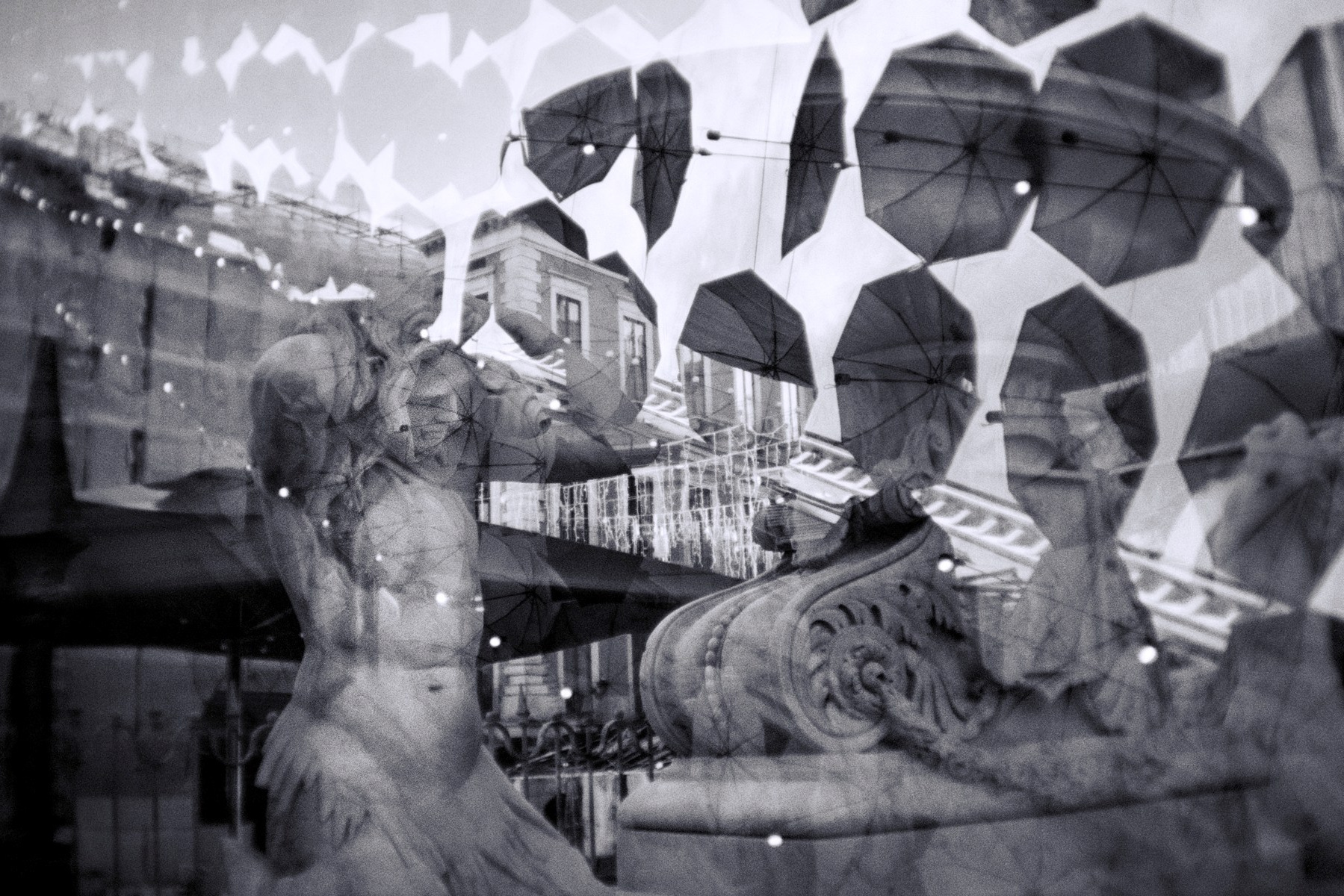 Григорьева Ирина. Организация фотовыставок в Петербурге и Москве, MFamilia (МФамилия)