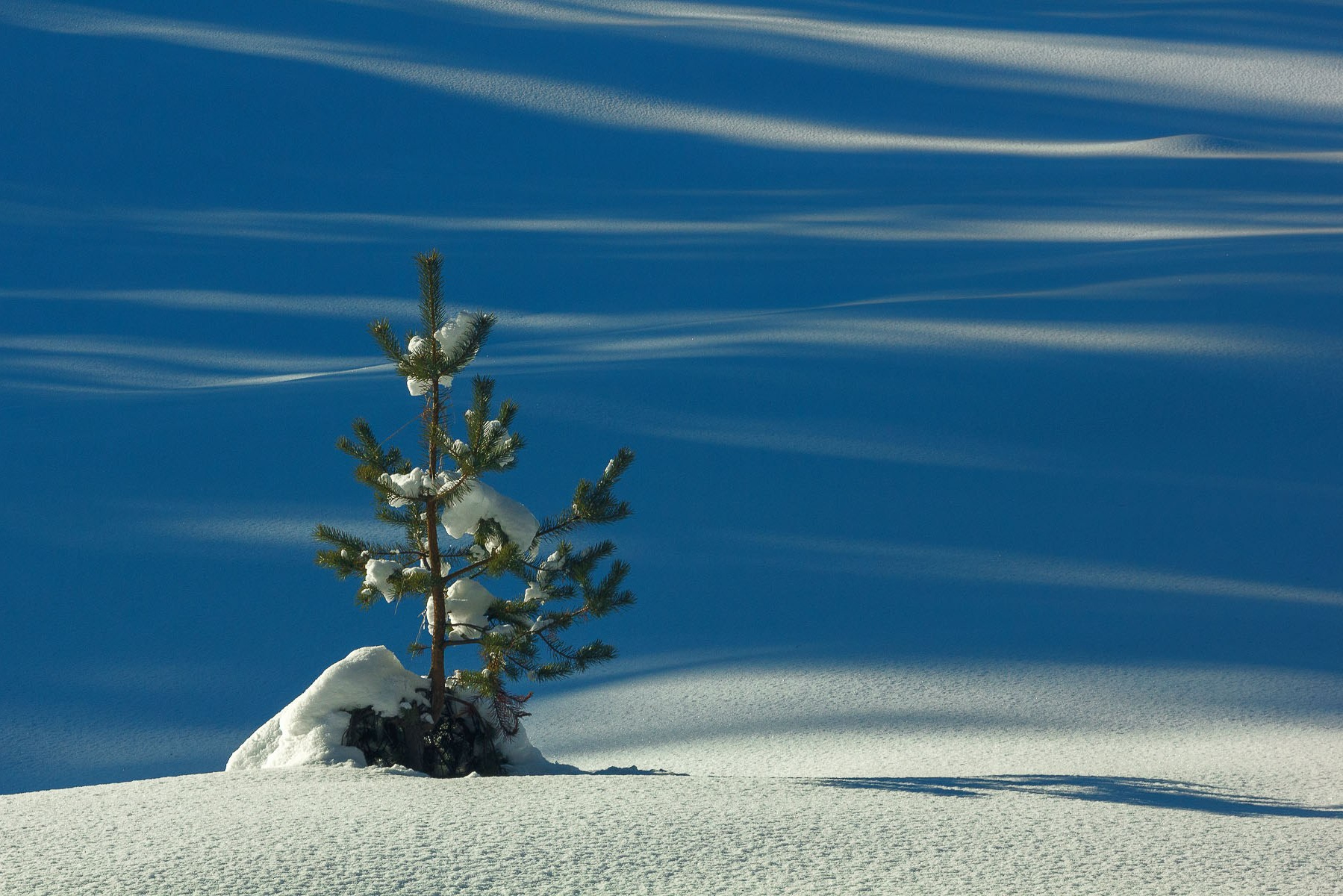 Зимний Алтай 2025 | Фотограф Дмитрий Купрацевич. Дмитрий Купрацевич профессиональный пейзажный и travel-фотограф