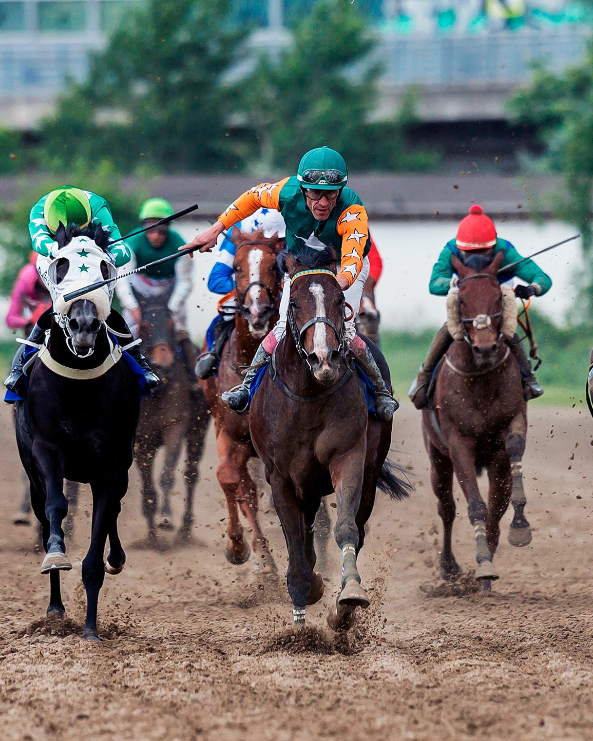 Конные соревнования. Конный фотограф Алеся Сейф / Alesya Safe