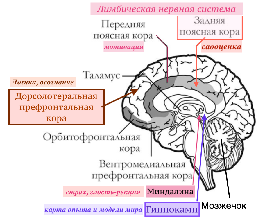 Эго каждый раз собирает личность заново. Гид и фотограф в Валенсии Новиков Михаил