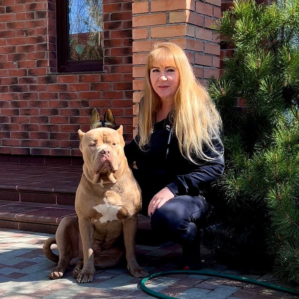 Наши собаки. Американские булли XL в г. Калининград. Питомник Great Bully UNIVERSE