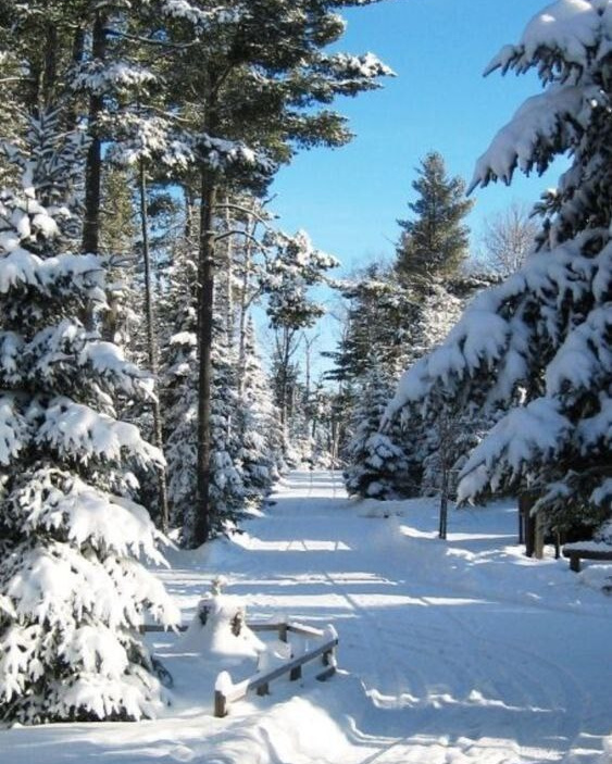 Новогодняя фотосессия 2024–2025 гг. Трубинова Екатерина | Семейный фотограф | Москва