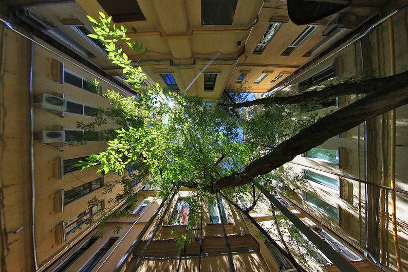 Секретные дворики Москвы. Фото Радости. Свадебный и семейный фотограф в Москве Юлия Самойлова