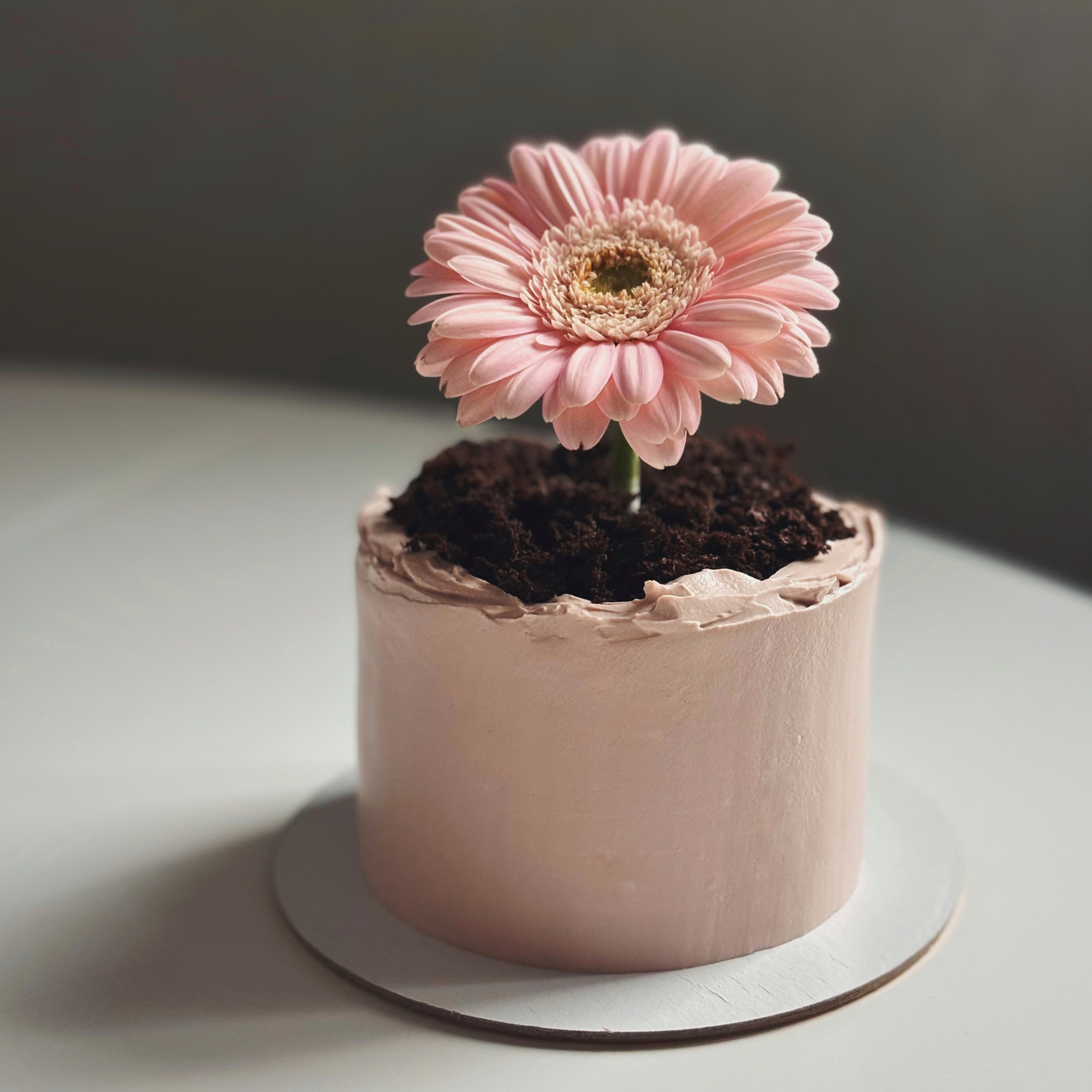 День мамы. Торты и десерты на заказ