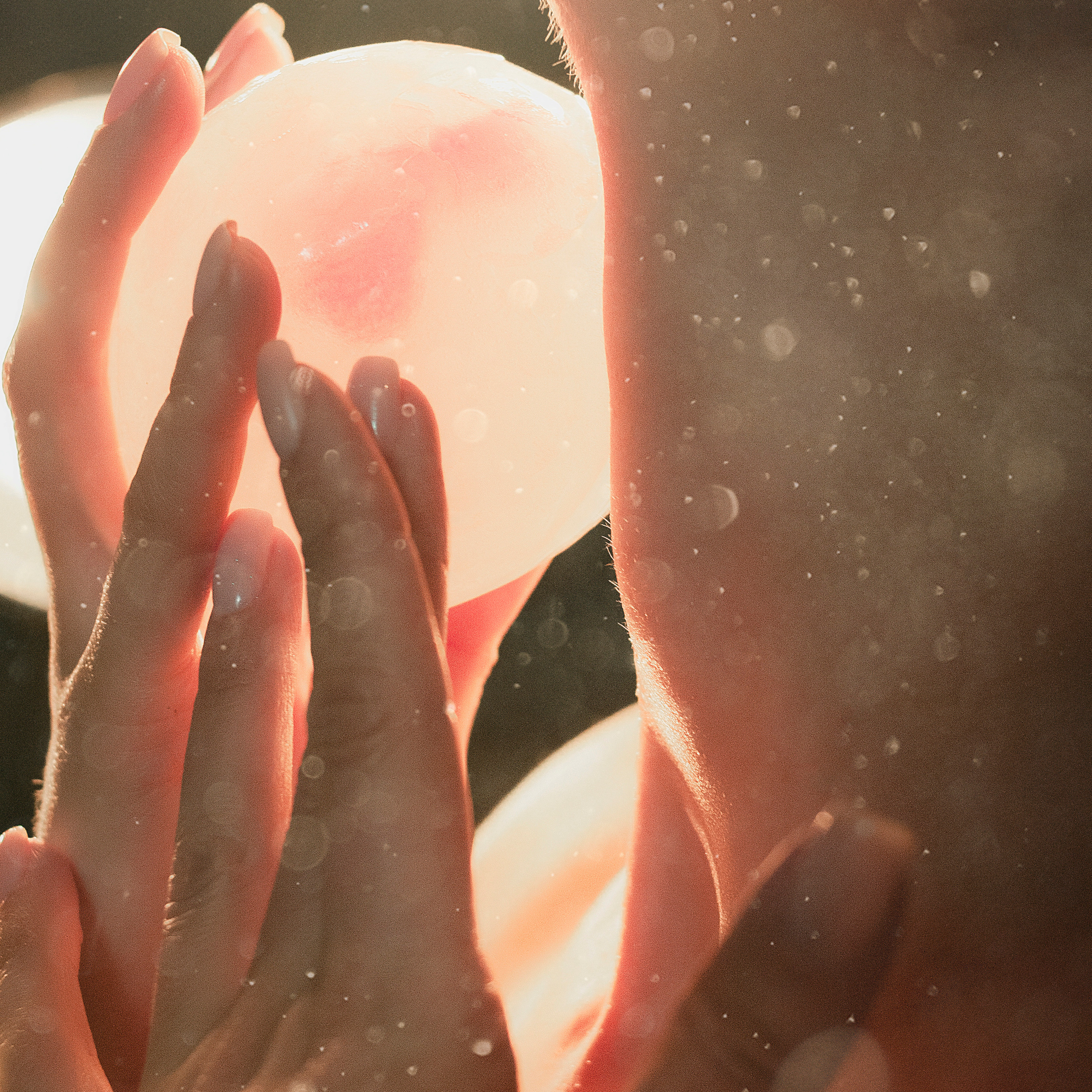 Услуги. Семейный фотограф Анна Лищук г. Таганрог