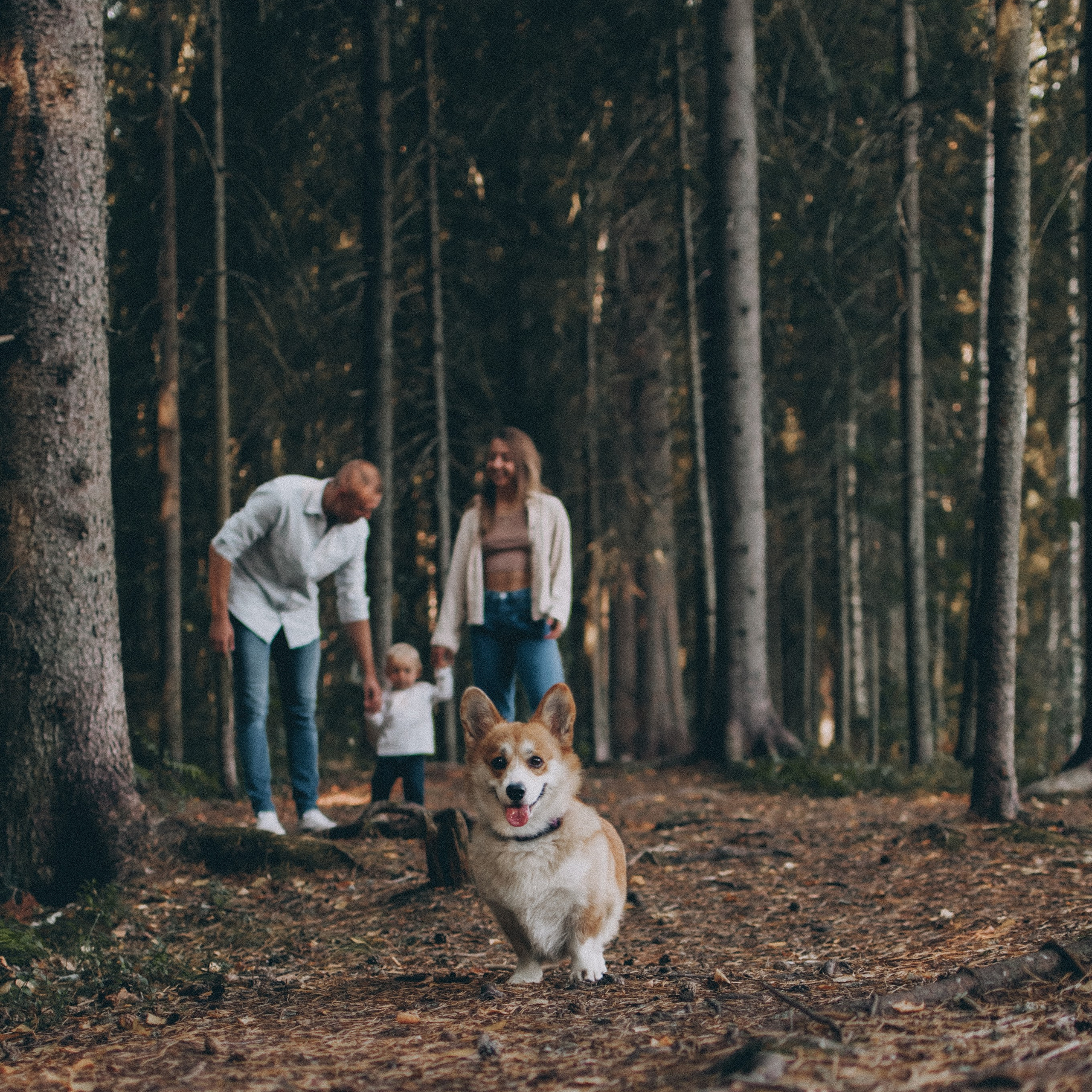 Услуги. Семейный фотограф из Петрозаводска, Карелия