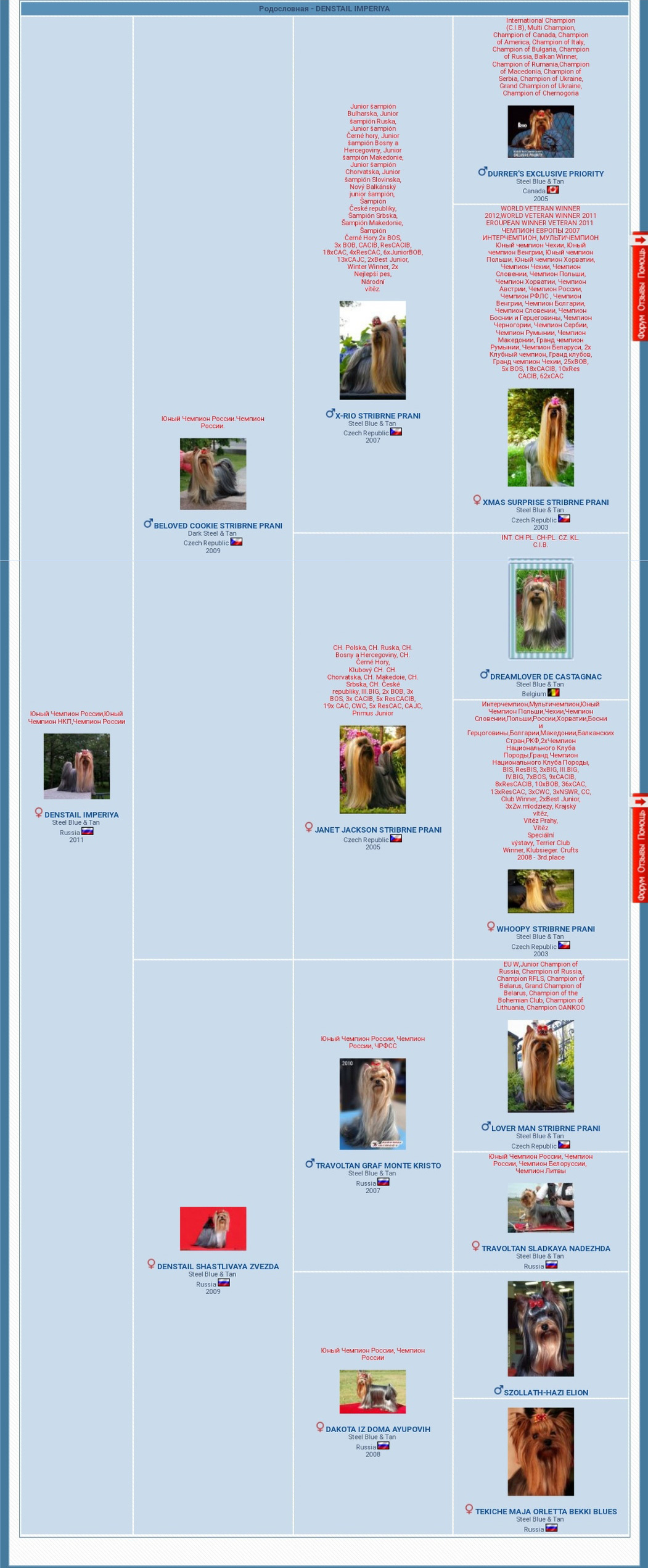 Дэнстайл Империя. Питомник Йоркширских терьеров Дэнстайл в Санкт-Петербурге заводчик Тих