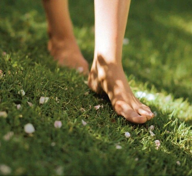 Buns. Видеооператор Москва