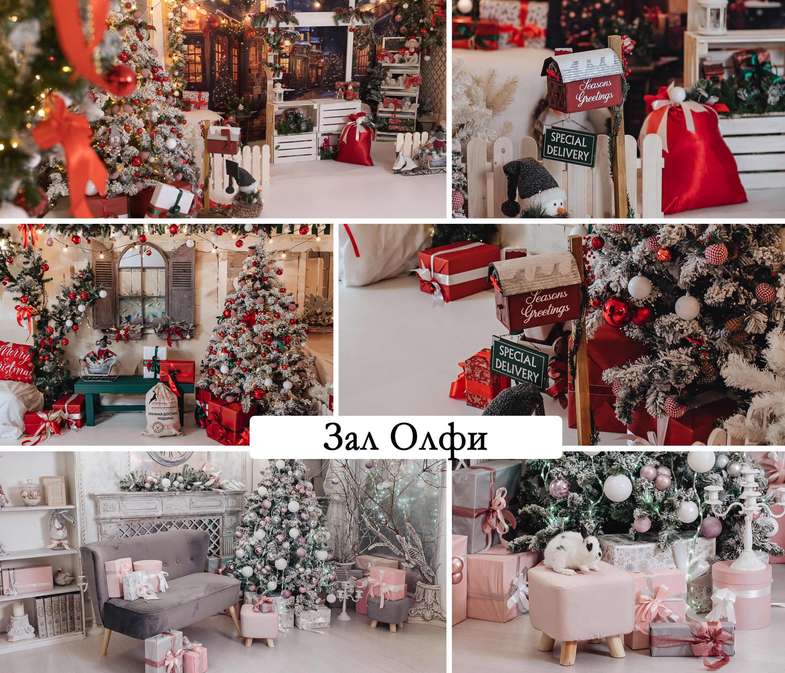 Новогодний фотодень в Санкт-Петербурге. Фотограф в Санкт-Петербурге, Анна Скворцова