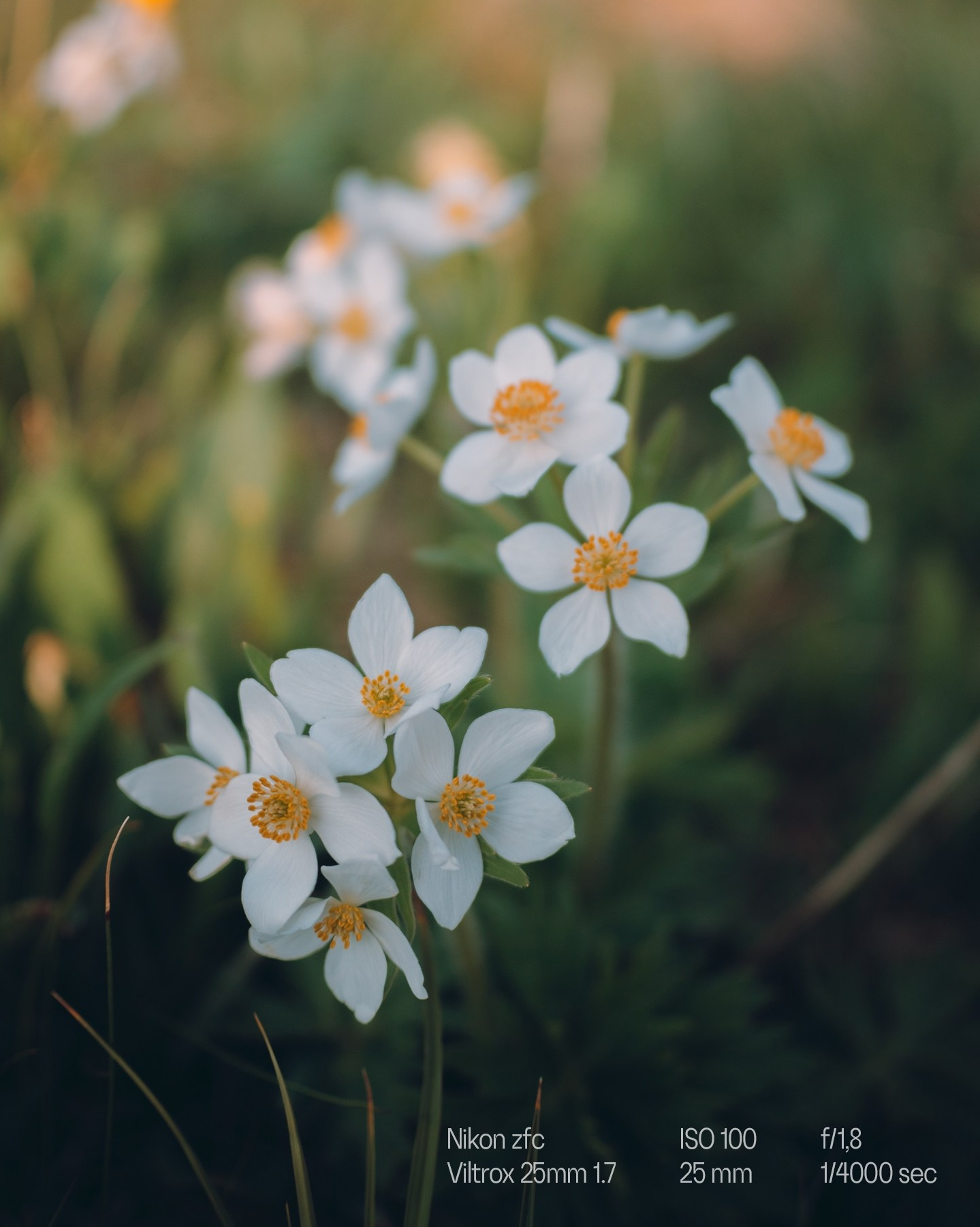 ТЕХНИКА. Пейзажный и тревел-фотограф Алексей Соколенко