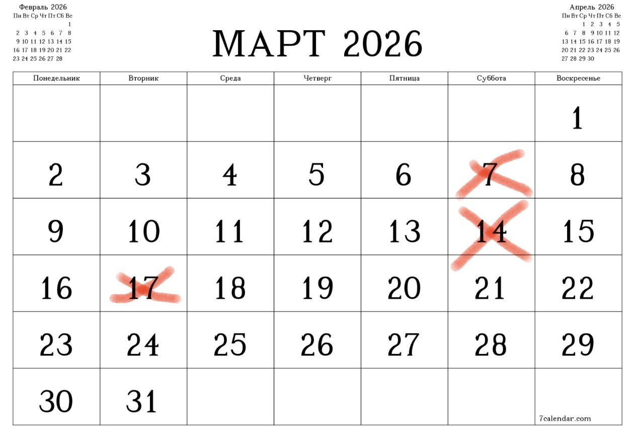 Свободные даты. Семейный фотограф Санкт-Петербург СПб Митрофанова Ольга