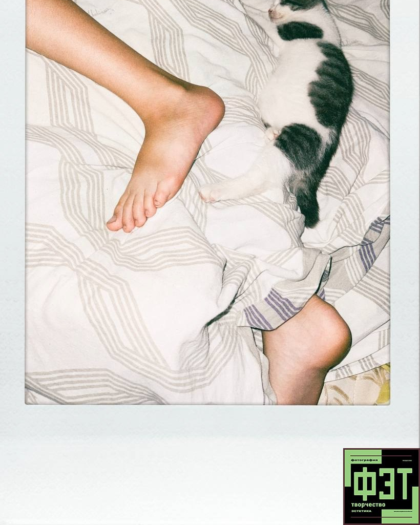 ФЭТ: Фотография Эстетика Творчество. 26.10.2025