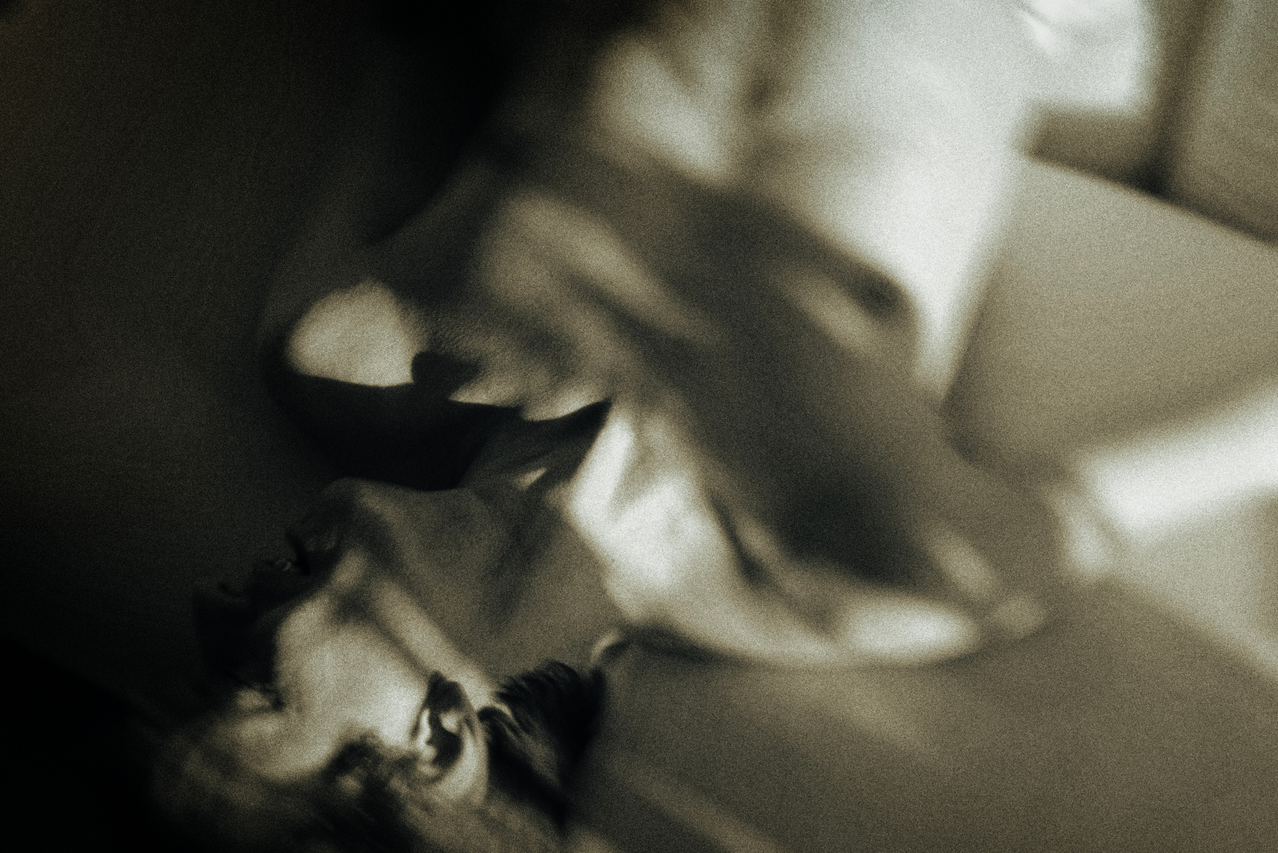 Not2. Vasil Titov