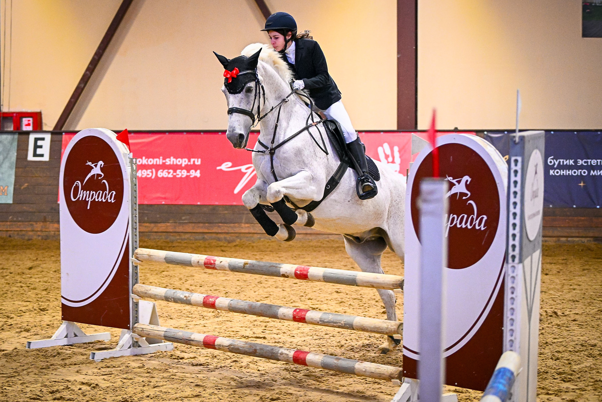 2024-12-21 Новогодние соревнования Кубок КСК «Отрада» по конкуру. ТУРНИРНАЯ КОННАЯ ФОТОГРАФИЯ, Руднева Ольга и Евгений Адеев