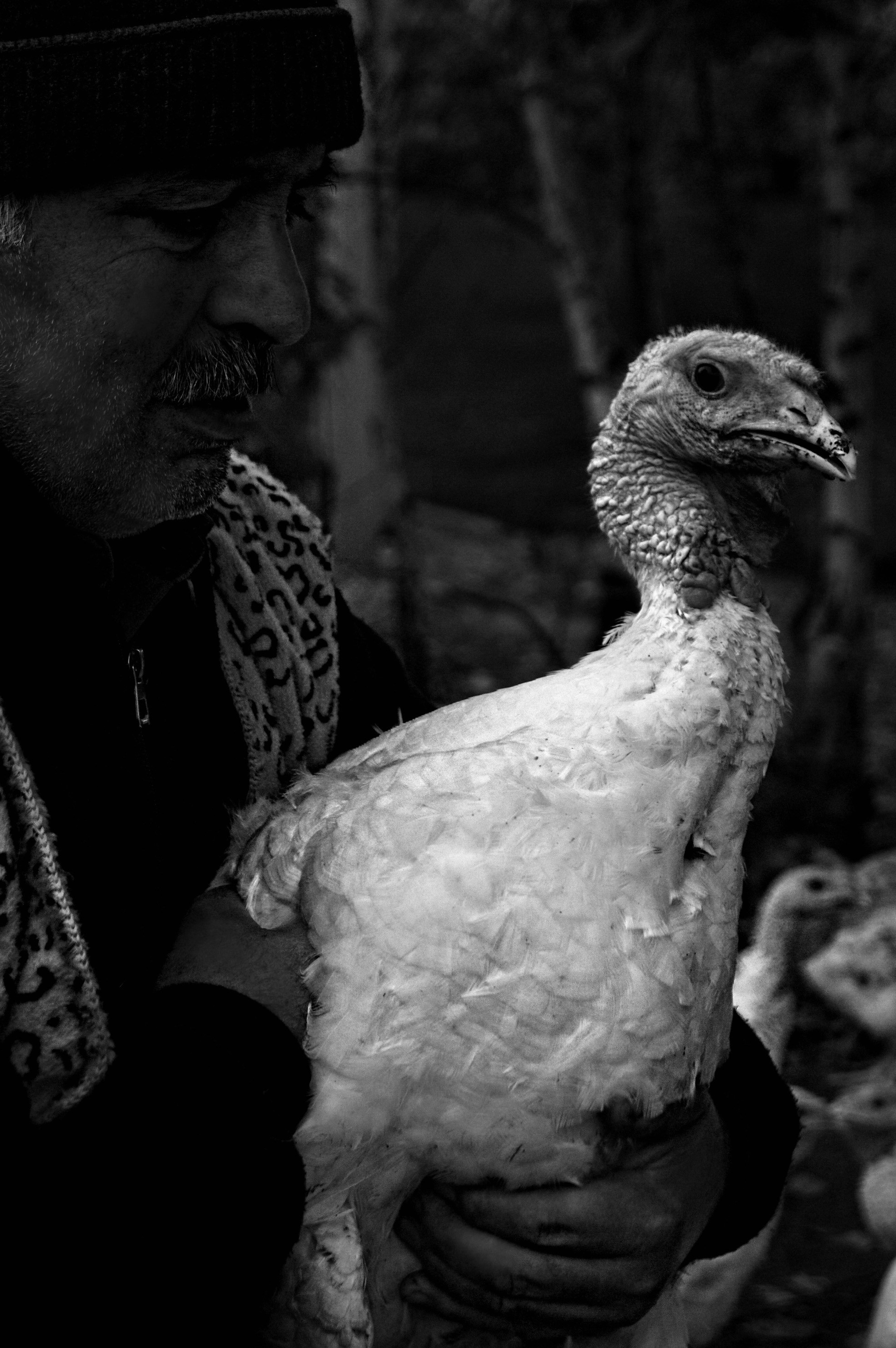 Лукьянова Анастасия. ARTEXPOPHOTO