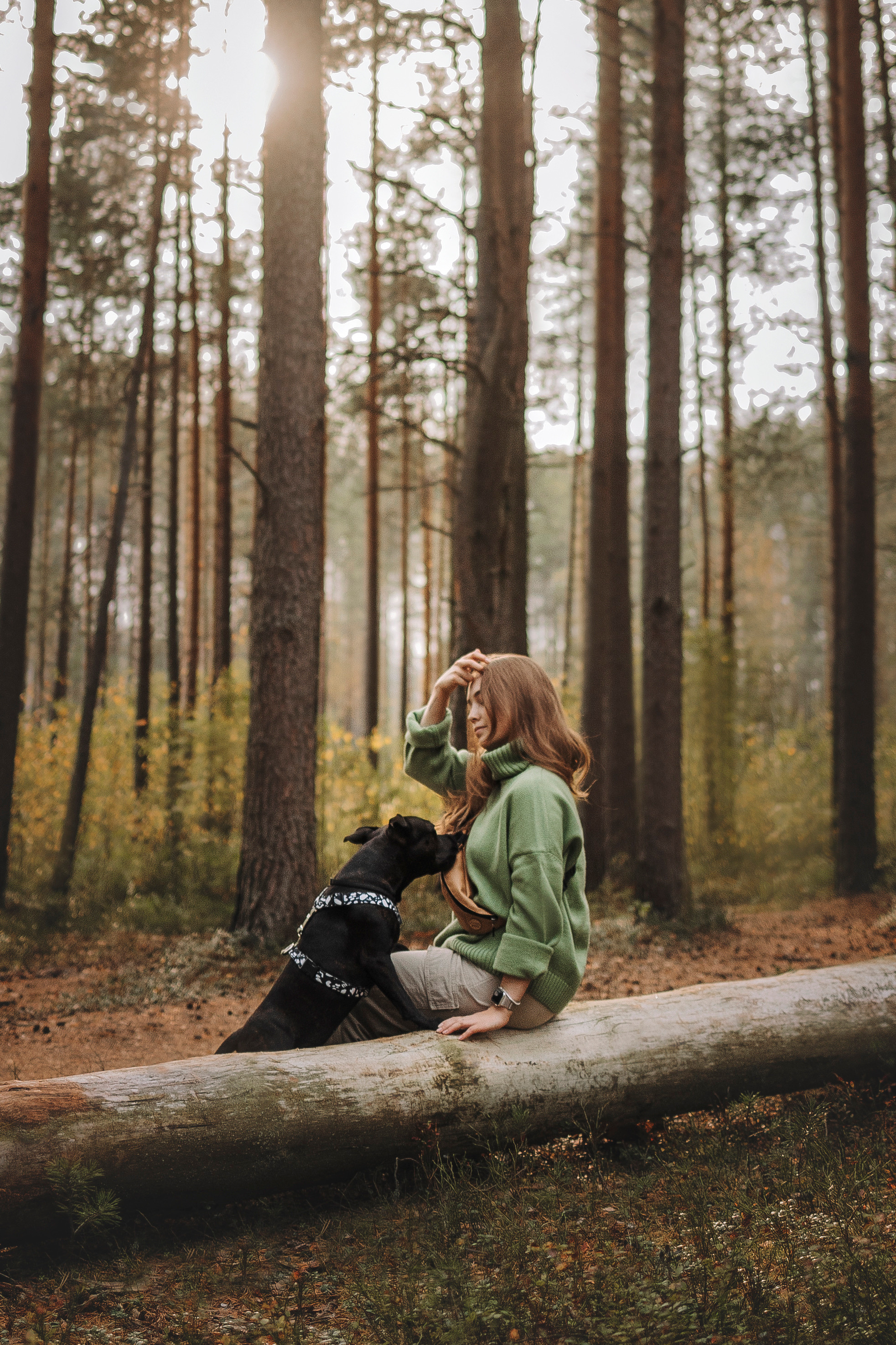 Услуги. Фотограф-анималист в городе Санкт-Петербург — Сергеева Лилия
