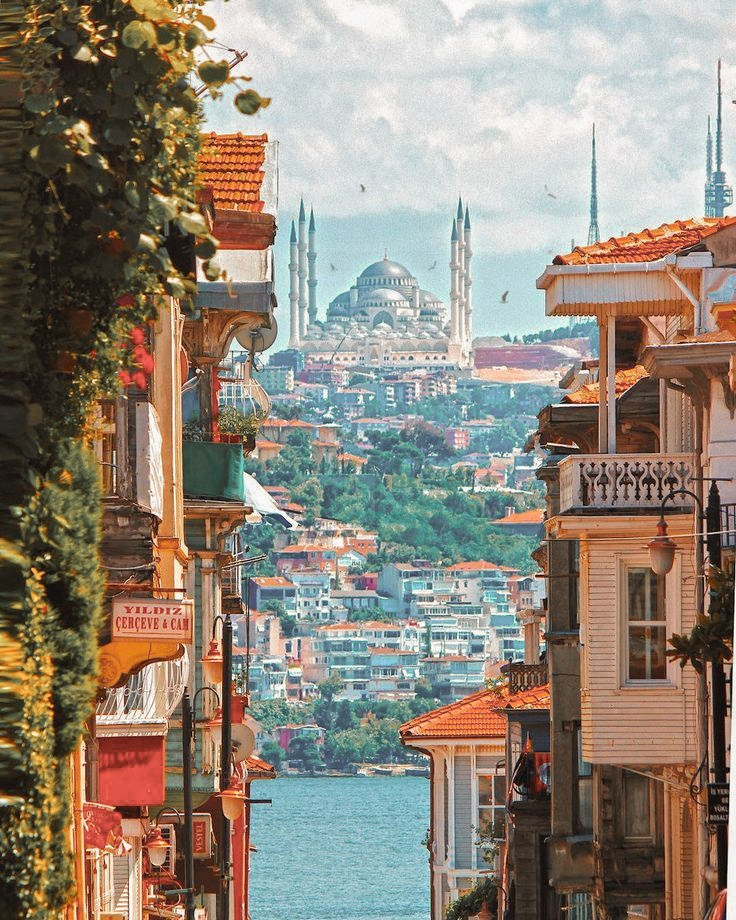 Стамбул.Фототур. Ольга Котова