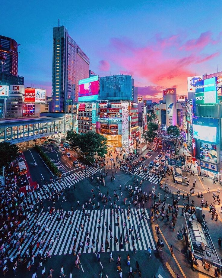 🇯🇵 ЯПОНИЯ. ПЕРВАЯ ЛЮБОВЬ — ноябрь 2027 года. СЕЙ: ЧАС — Авторские туры по миру с Алиной Крюковой