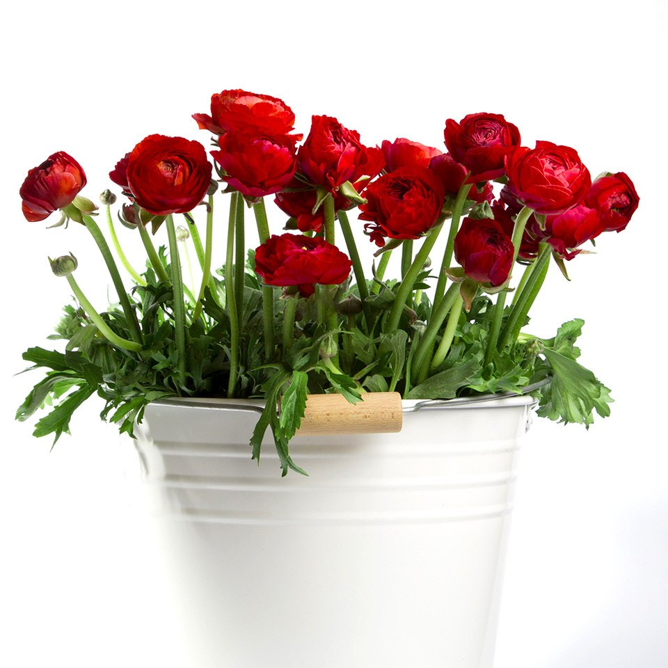 Обучение профессии флориста в Одинцово