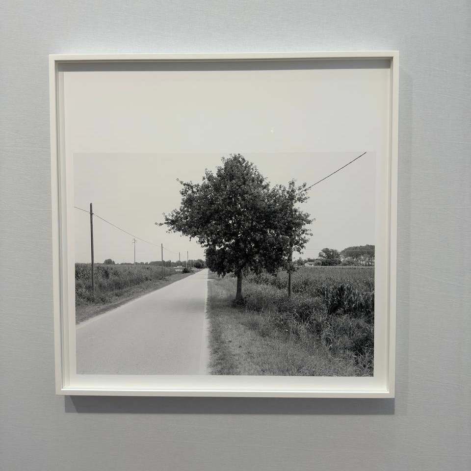 Paris Photo: обзор события. Фотограф и исследователь фотографии из Санкт-Петербурга Елизавета Веприцкая