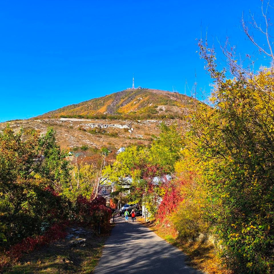 Фотосайт Андрея Прокопенко