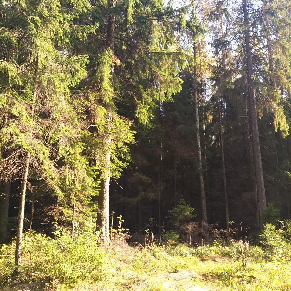 Товары с поиском. Ы