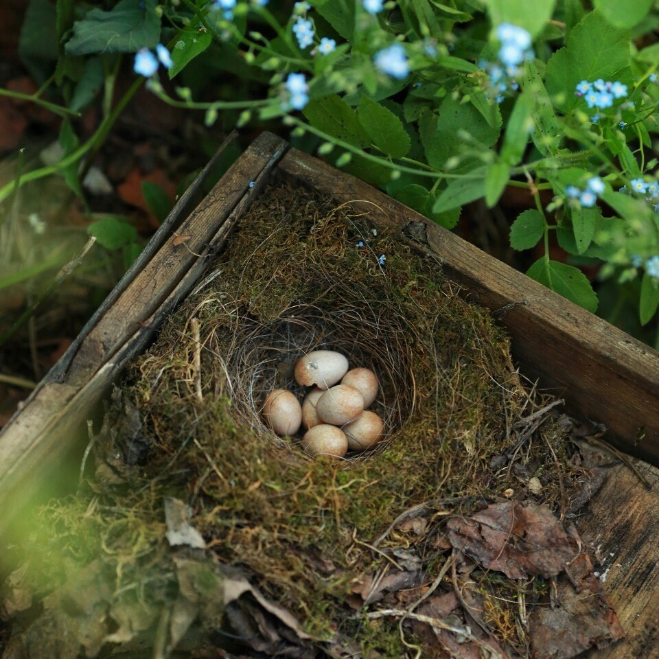 На какую технику я снимаю?. Профессиональный фотограф, фотохудожник, видеограф из Москвы