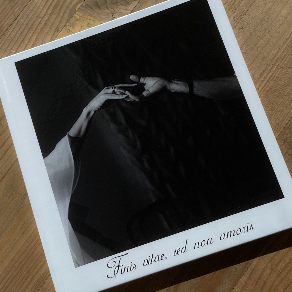 Стоимость. Фотограф НОГИНСК, Москва, Анастасия Белая