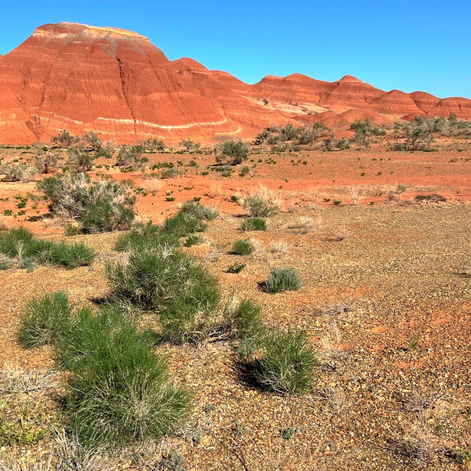 Национальный парк Алтын Эмель рядом с Алматы, Казахстан. Где находится, как доехать, фото и видео зимой и летом