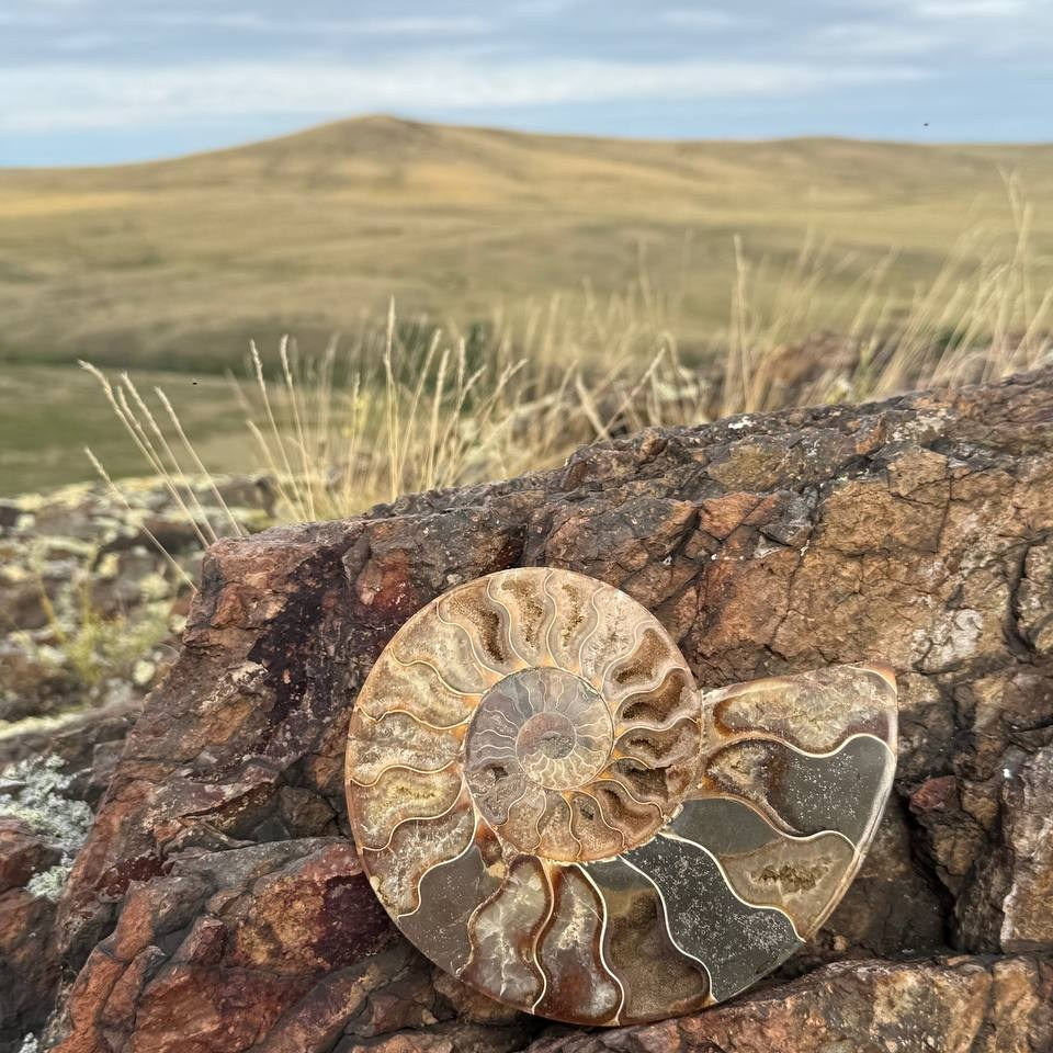 Сакральный туризм. Анастасия Строганова