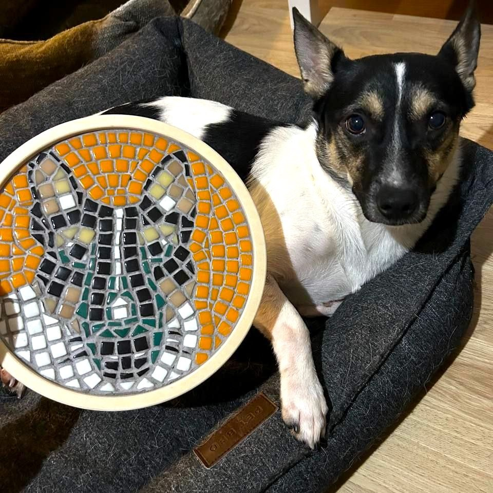 Индивидуальный (мозаика). Belay.Art