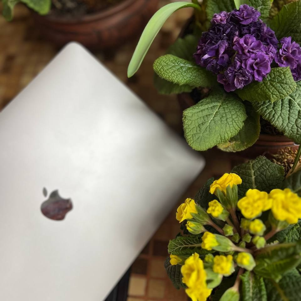 ЛЮБИ ЦВЕТЫ флористическая мастерская. ЛЮБИМЫЕ ЦВЕТЫ