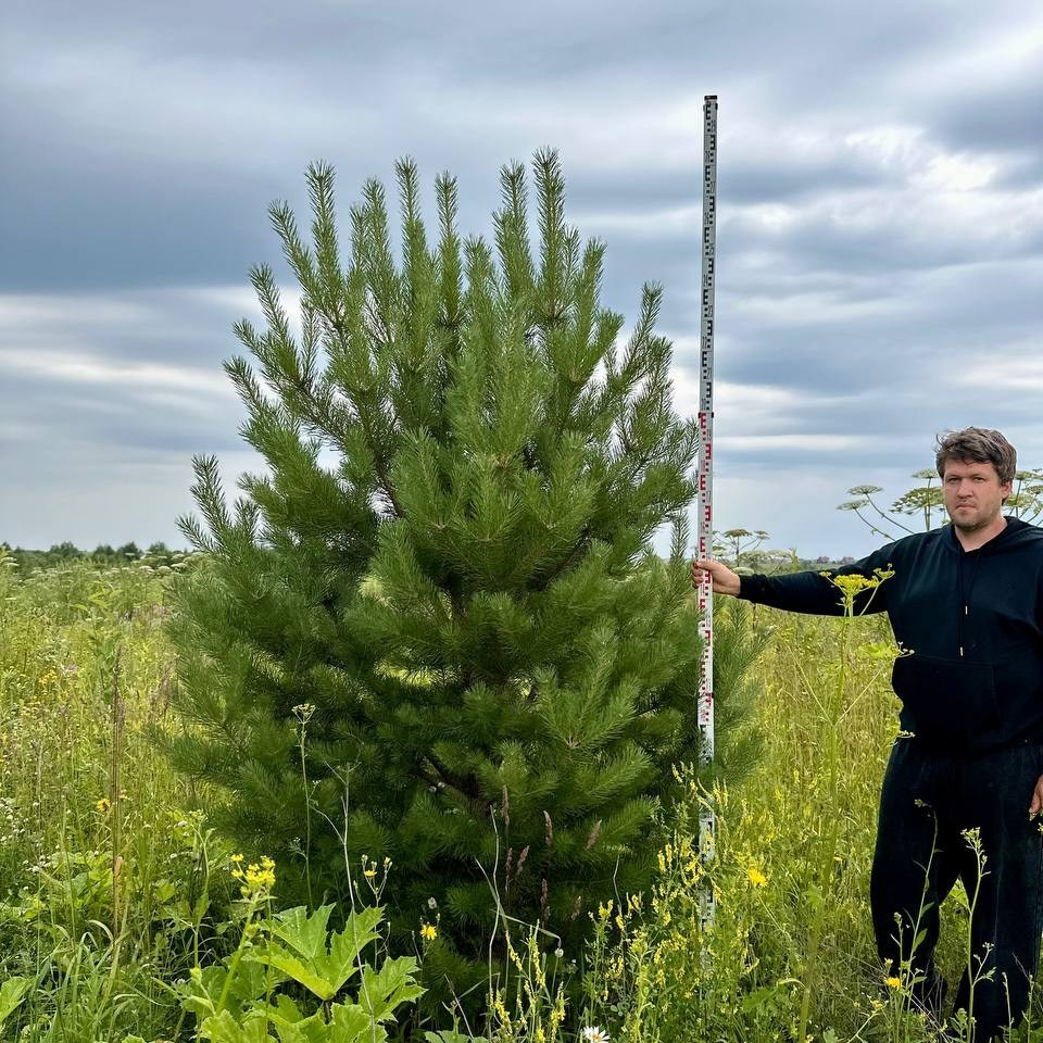 Крупномеры РФ