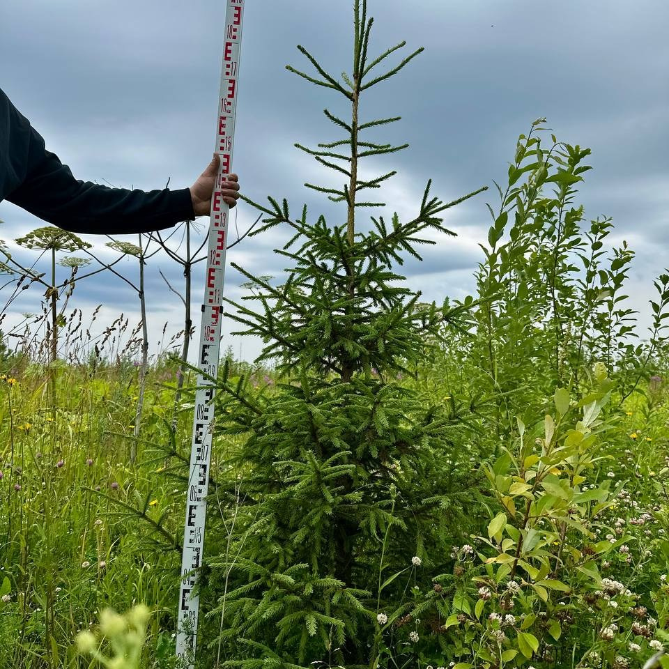 Крупномеры РФ